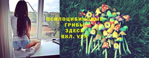 стафф Балабаново