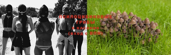 стафф Балабаново