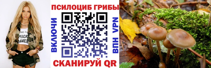 mega ссылки  Ревда  Галлюциногенные грибы ЛСД 